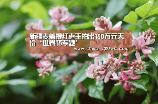 淘汰赛
