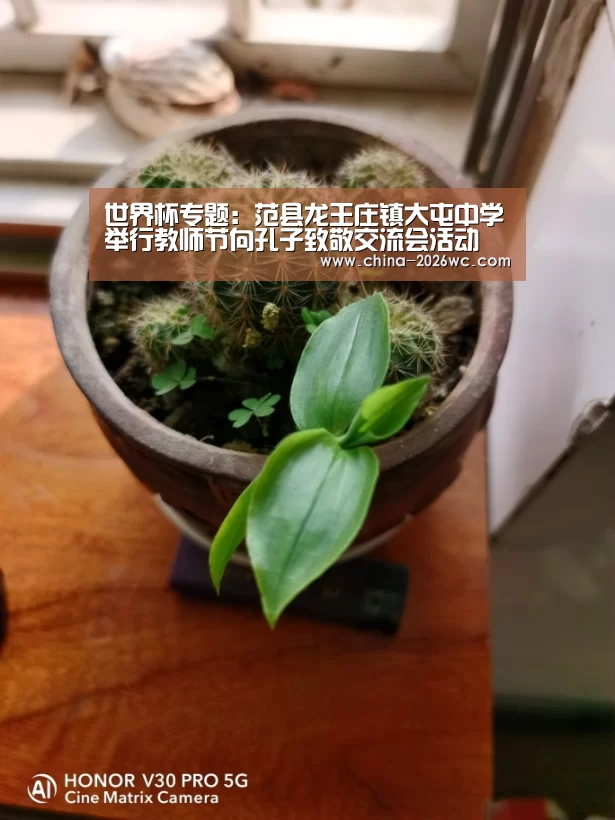 世界杯专题:范县龙王庄镇大屯中学举行教师节向孔子致敬交流会活动(图3) 淘汰赛
