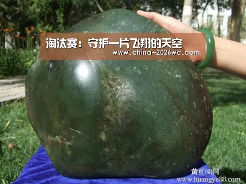 比赛集锦