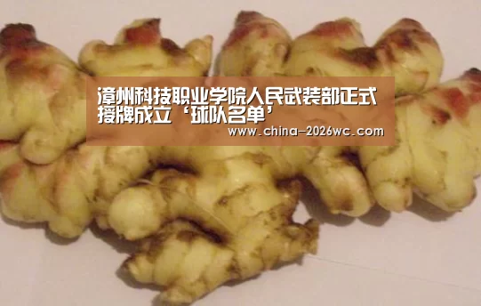 世界杯专题