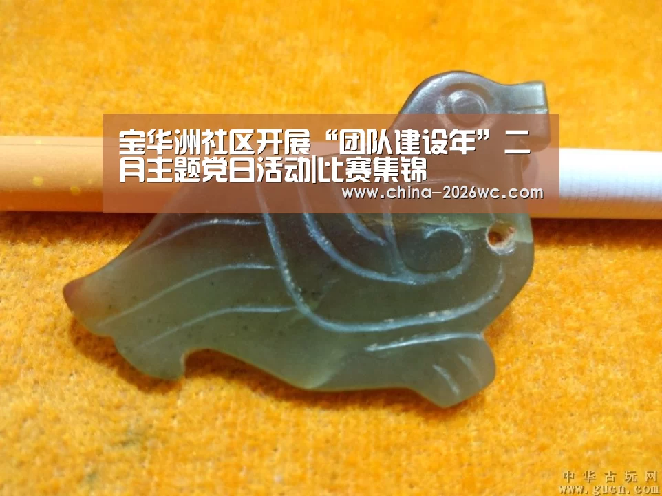 宝华洲社区开展“团队建设年”二月主题党日活动|比赛集锦(图1) 比赛集锦