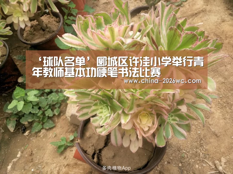 比赛集锦