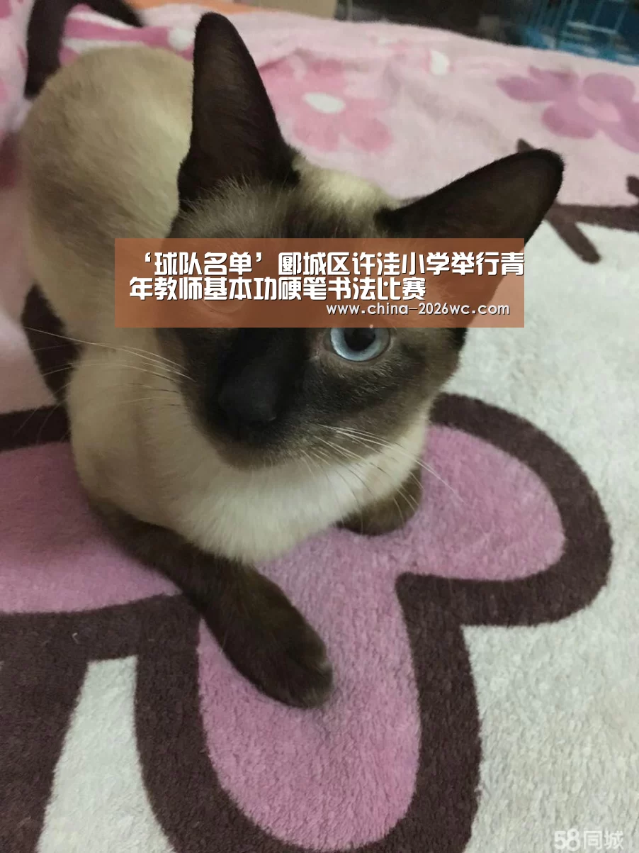 球队名单