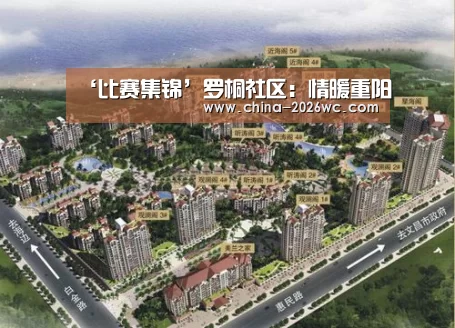 比赛集锦