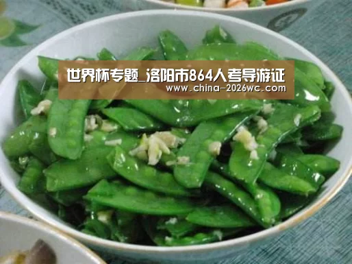 世界杯专题