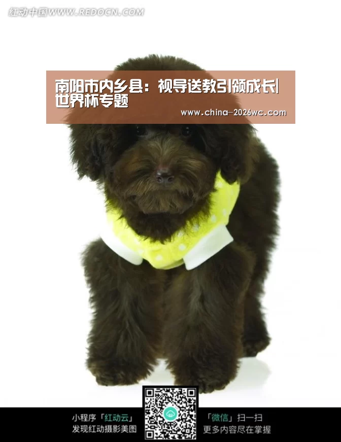 比赛集锦